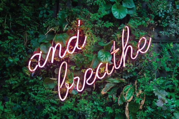 neon "and breathe" over greenery