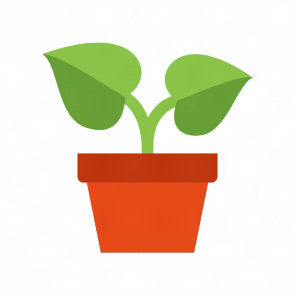 animated illustration of plant with two leaves growing