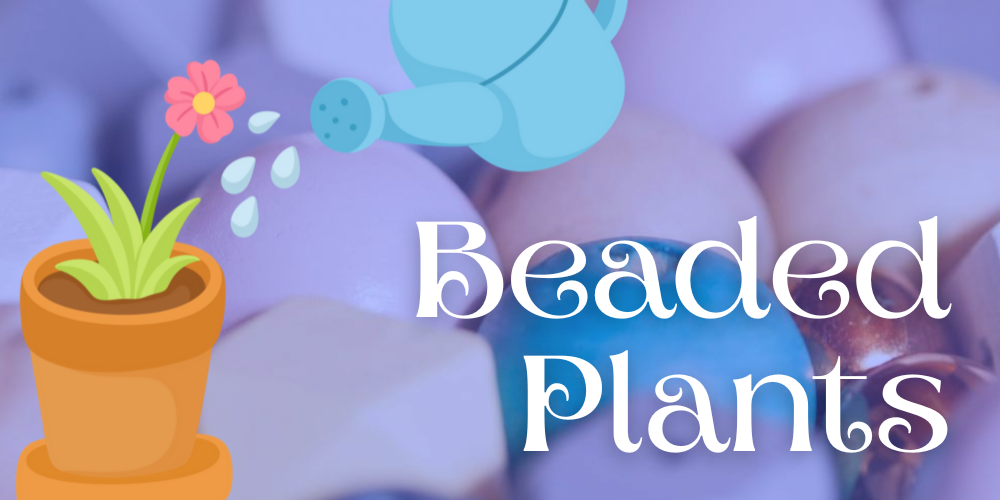 a tiny potted plant getting watered