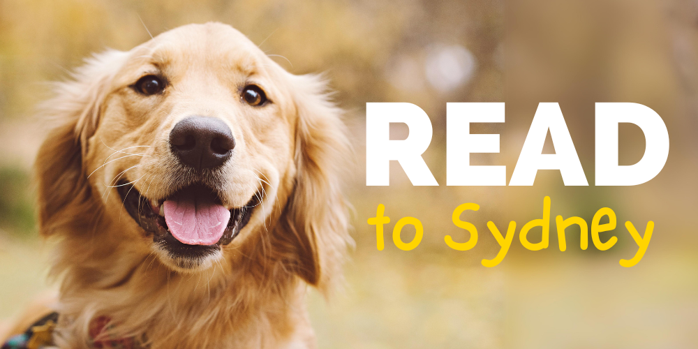 golden retriever with text read to sydney